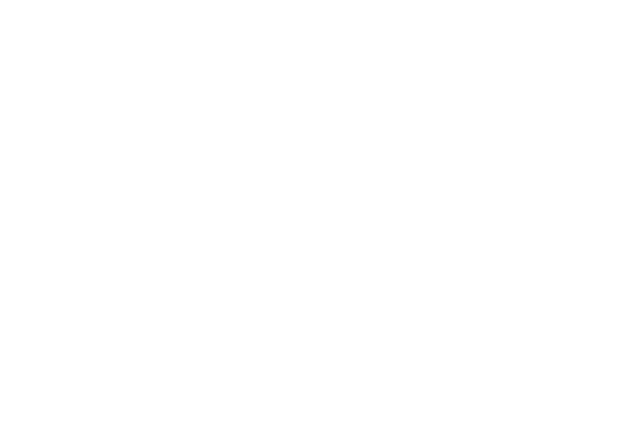 Testaholiq